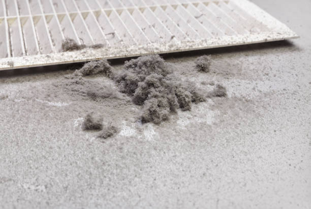 Best Residential Air Duct Cleaning  in Harlem, FL