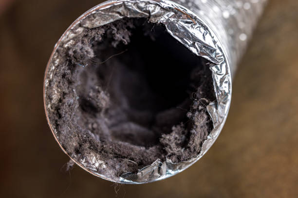 Best Dryer Vent Cleaning Services  in Harlem, FL