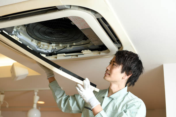 Best Affordable Duct Cleaning Services  in Harlem, FL