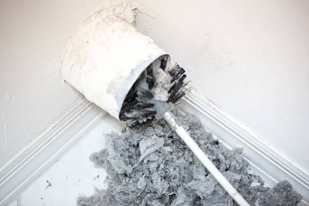 Best Residential Air Duct Cleaning  in Harlem, FL